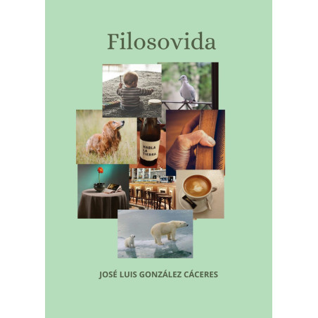 Filosovida